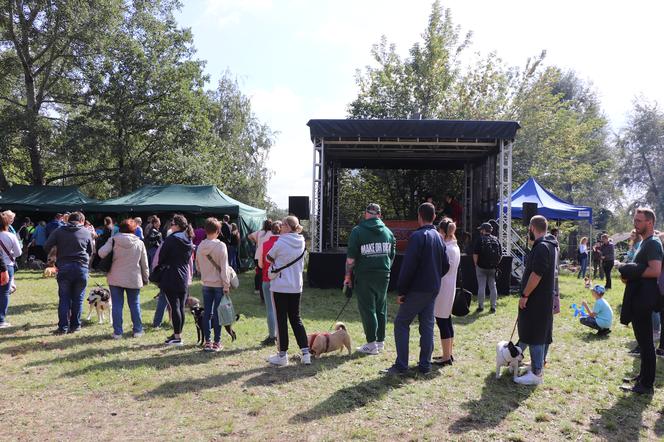 IX Piknik Przyjaciół Schroniska w Toruniu