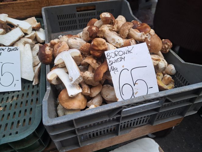 Ceny grzybów na Nowym i Starym Kleparzu w Krakowie