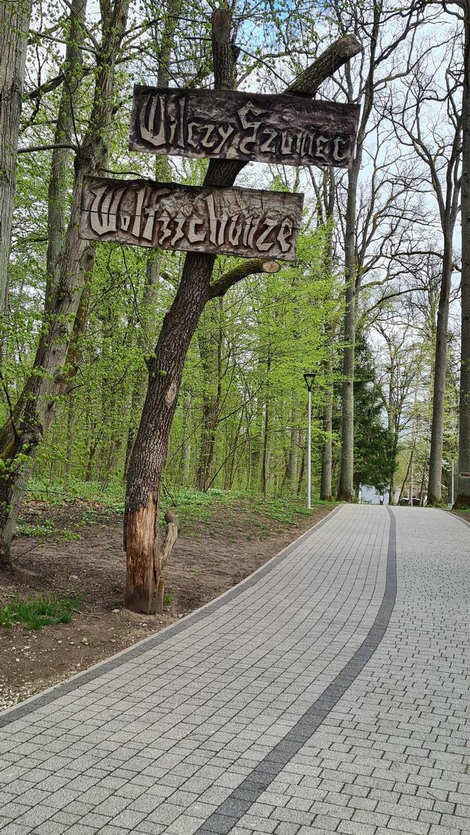 Wilczy Szaniec to jedna z najpopularniejszych atrakcji w Polsce. Zobacz zdjęcia