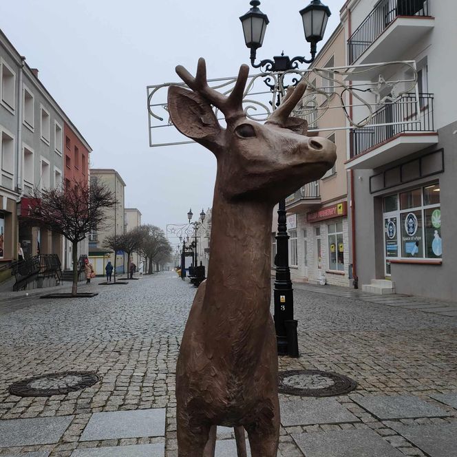 Jelonek stanął przy fontannie na ul. Długiej! Nowa atrakcja turystyczna Łomży poleca się do robienia zdjęć