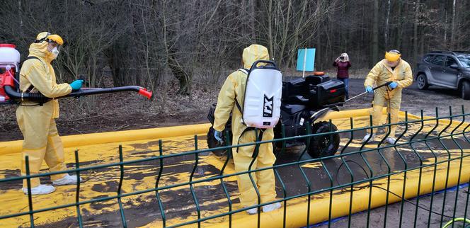 Łódzkie: ZARZĄDZANIE KRYZYSOWE W AKCJI. Około 80. osób przeszukiwało w weekend lasy