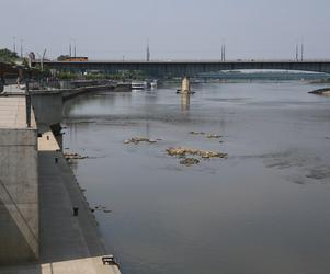 Wisła wysycha, tak źle nie było od lat. „Wszyscy to odczujemy”