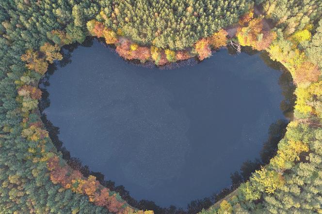 Jezioro Czarne w województwie lubuskim