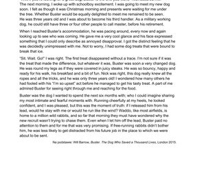 Matura 2025 angielski rozszerzony: ODPOWIEDZI do wszystkich zadań, gotowe rozwiązania matury z angielskiego - Formuła 2023 [8.05.2025]