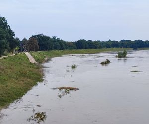 Fala powodziowa we Wrocławiu. Pod wodą są już beach bary i drogi 