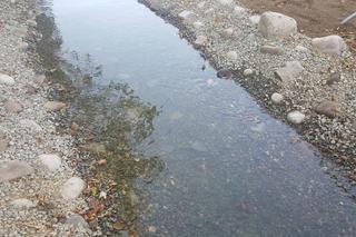 Wyremontowany Park Grabek w Czeladzi