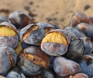 Festiwal Kasztanów Madera