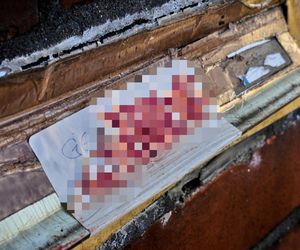 Hanau. Swastyki z ludzkiej krwi na 50 samochodach [ZDJĘCIA].