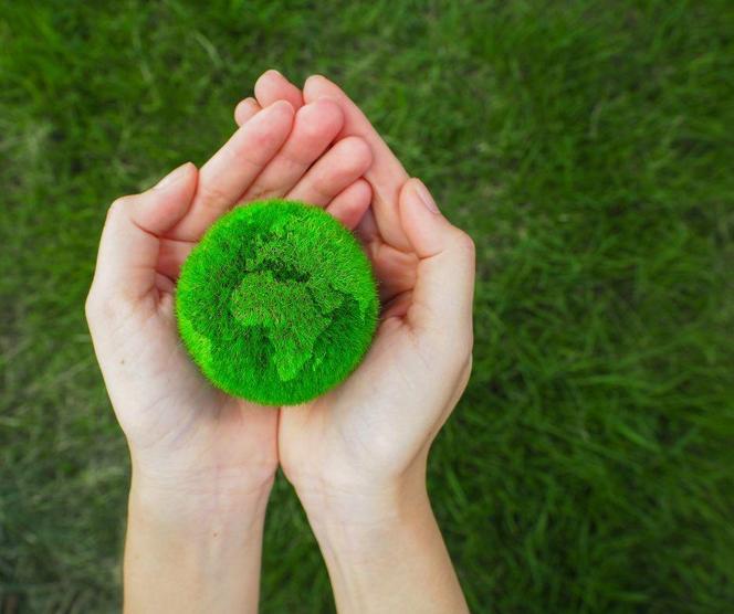 Godzina dla Ziemi. Zgasną światła na ratuszu