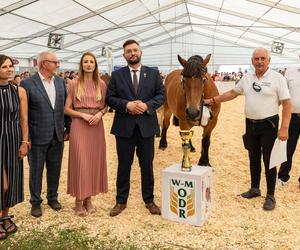 Jesienne Targi Rolnicze w Gryźlinach 2024. Wydarzenie przyciągnęło tłumy. Zobacz zdjęcia