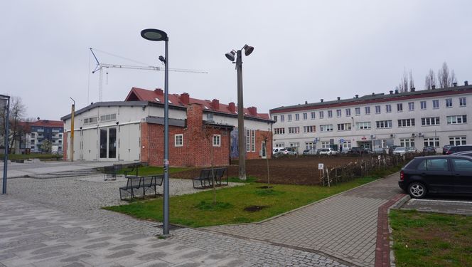 W samym centrum Olsztyna powstało… prawdziwe pole. O co chodzi?