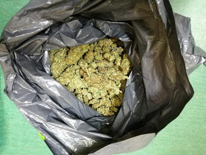Prawie kilogram trawki trzymał w kuchni