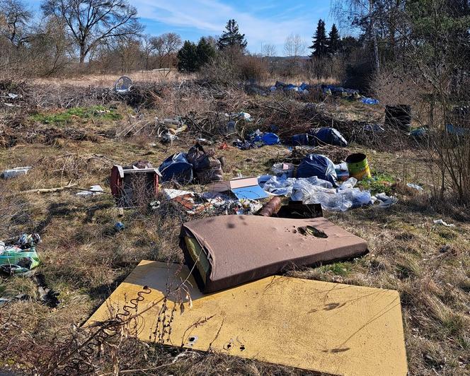 Tona śmieci na działkach pod Gorzowem. Burza w sieci