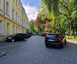 Wojewódzkie Obchody Dnia Strażaka w Lesznie. Uroczystość, atrakcje i utrudnienia w ruchu