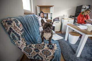 Przemyśl. U nich psy nie czekają na adopcję w klatkach [GALERIA]	