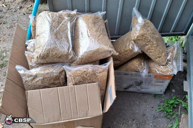 CBSP rozbiło gang producentów papierosów.