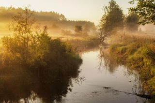 Tragiczna sytuacja w parkach narodowych na Podlasiu! Uwaga na pożary!