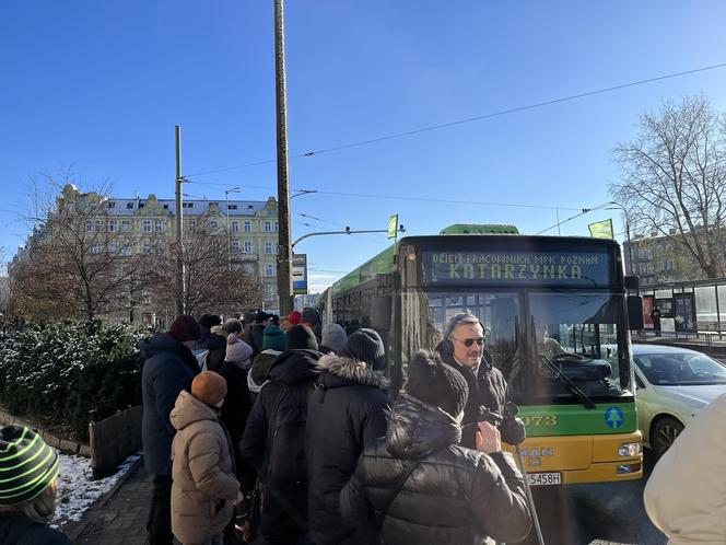 Katarzynki 2023. Prezentacja autobusów w Poznaniu. Zabytkowe autobusy w Poznaniu