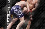 MMA - Las Vegas. UFC 125 Resolution