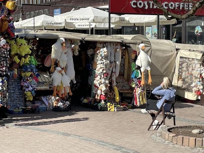 Nowy HIT na Krupówkach. Zakopane opanowała pewna... gęś