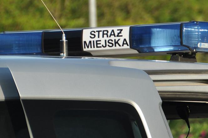 W Gdańsku odnaleziono ciała dwóch mężczyzn