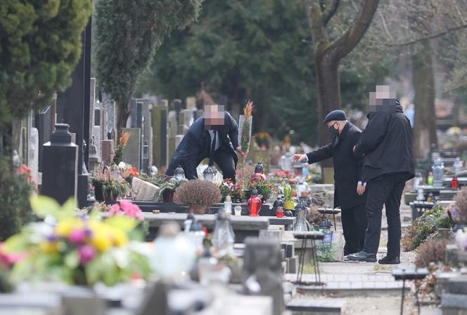 Prezes z palmą, Wałęsa bez