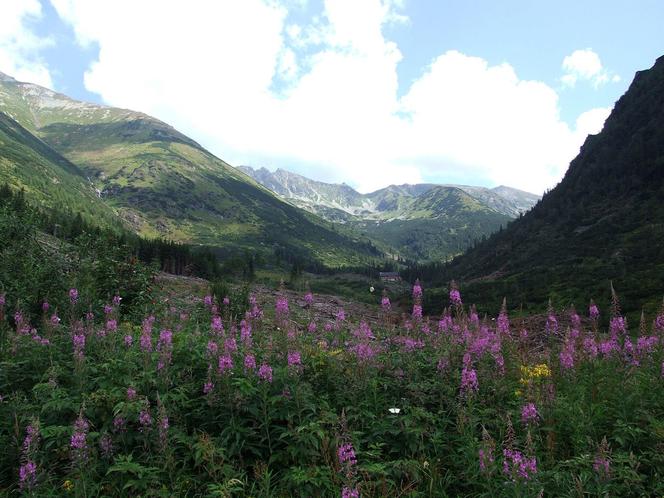 Oto najdłuższy szlak w Tatrach. Liczy ponad 70 kilometrów 