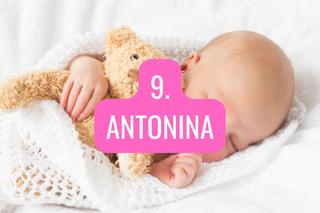 9. Antonina