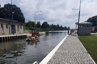 Wody Polskie: nie byliśmy bierni w czasie marcowego śnięcia ryb w Kanale Gliwickim