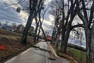 Wichury nie ustępują, jest coraz gorzej. W województwie pomorskim zdarzeń jest najwięcej