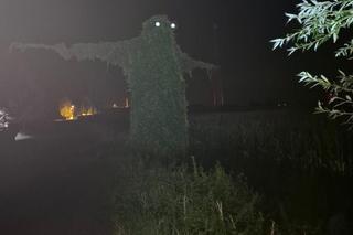  Buka z Krobusza śmieszy i przeraża. Upiorne wrocławskie latarnie mają konkurencję