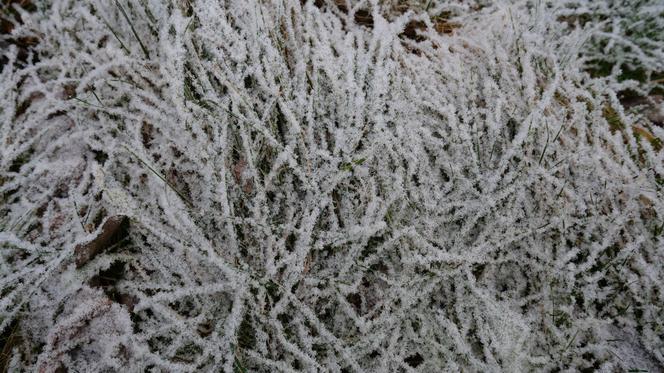 Prognoza pogody na Święta 2019