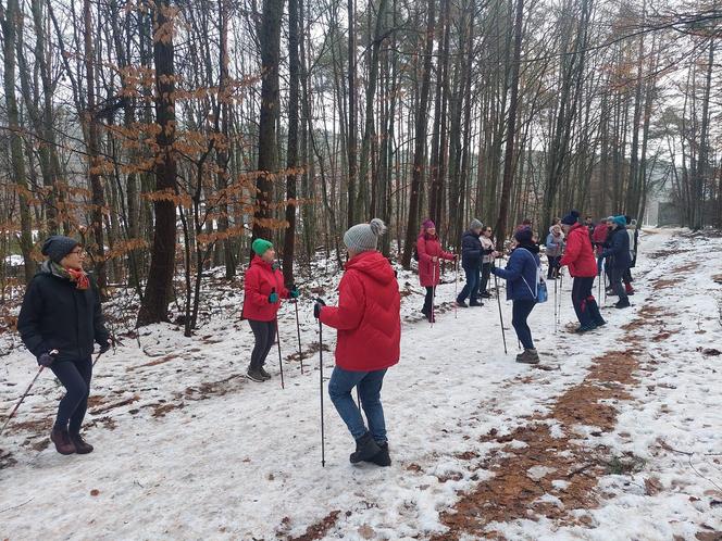 Projekt „Senior w dobrej formie”, czyli jak zachęcić seniorów do ruchu