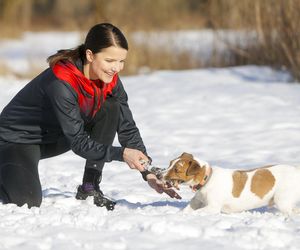 Te psy skradły serca gwiazd! 