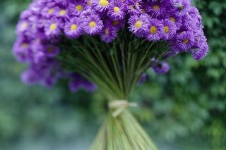 Jesienne bukiety według Marty Gessler