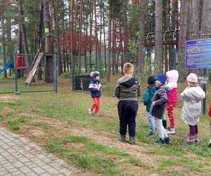 56. Rajd Rydz na patelni