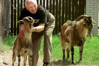  Krystyna Pyrkosz tęskni za swoim Witkiem