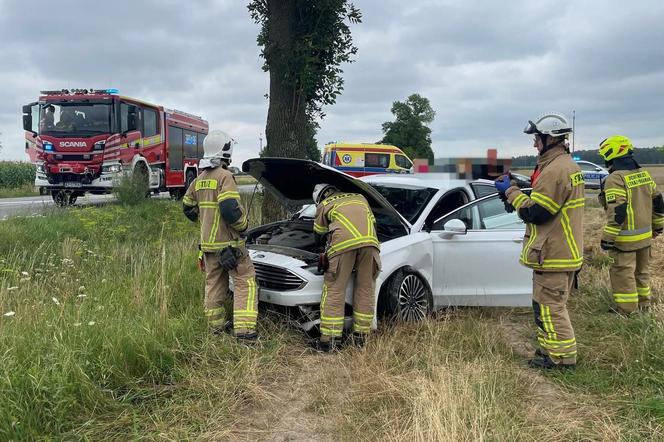 Na szczęście zdarzenie drogowe w miejscowości Chromna nie spowodowało utrudnień w ruchu