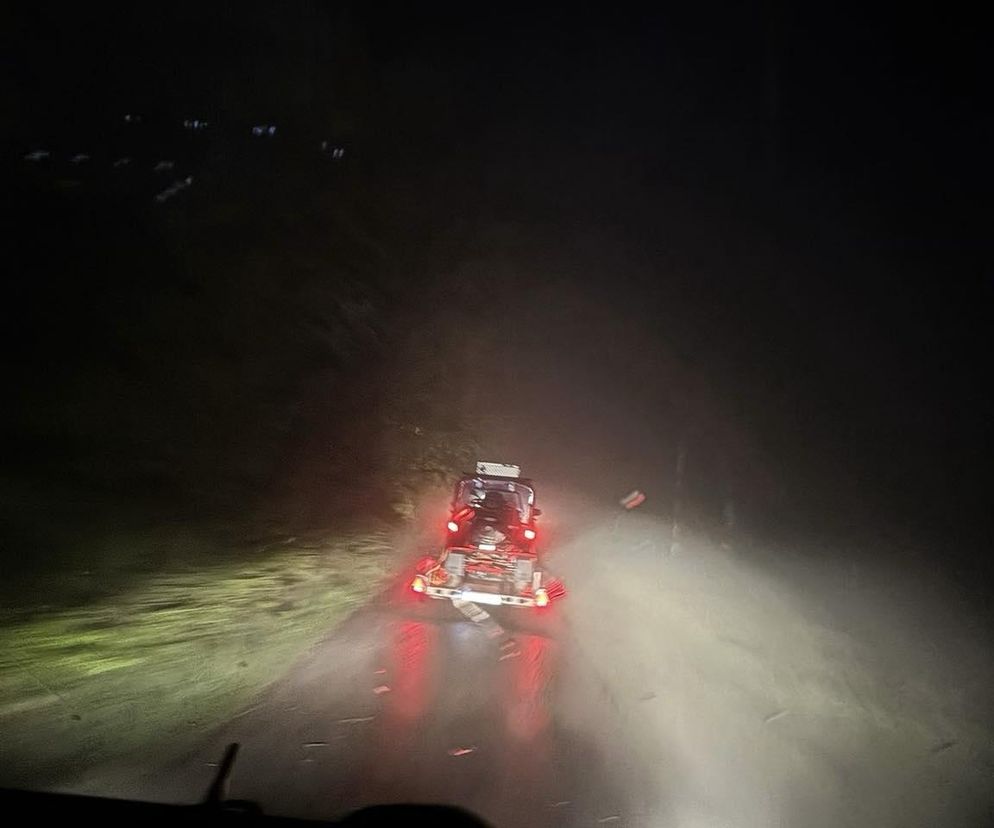 Poszukiwania matki i dziecka w rejonie Magurki Wilkowickiej 