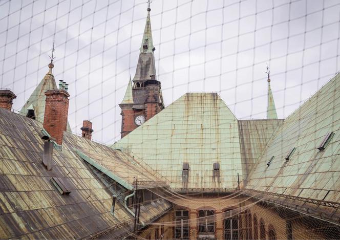 Pałac rodem z Hogwartu we Wrocławiu. Zobacz, jak wyglądają wnętrza gmachu dawnej Biblioteki Uniwersyteckiej [ZDJĘCIA]