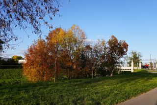  Tak wygląda bulwar im. Zalewskiego w Lublinie 