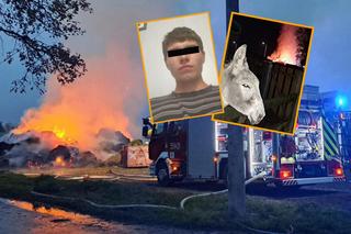 To on podpalił siano zwierzakom ocalonym przed rzeźnią. A kiedyś się nimi opiekował...