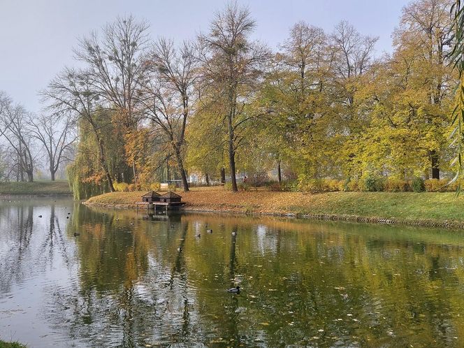 Zamojski Park jesienią