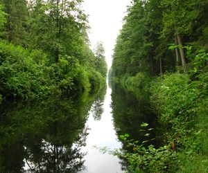 Najlepsze trasy wodne w Podlaskiem na letni weekend
