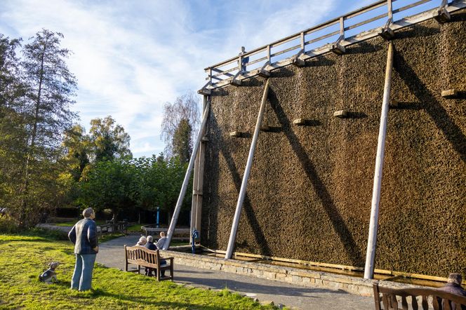 Miał być relaks dla zdrowia, jest bomba biologiczna. Miejskie tężnie solankowe to siedlisko bakterii