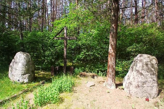 Leśny cmentarz rodu von Ramin