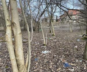 Północ Krakowa TONIE w śmieciach. Dzikie wysypisko, a obok las i... kościół