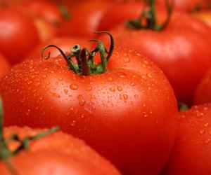 Pestycydy na importowanych pomidorach. W których sieciach było ich najwięcej?