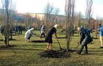 Katowice: 100 dębów na 100-lecie niepodległości. Drzewa zostały zasadzone na os. Tysiąclecia [ZDJĘCIA]