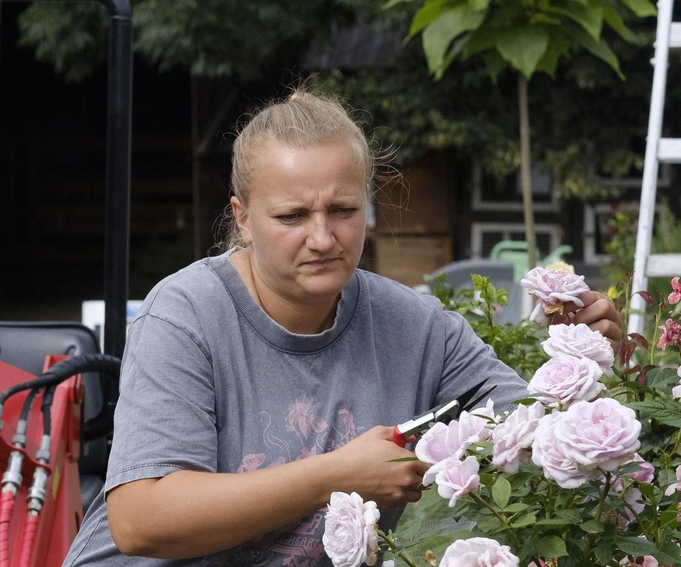 Rolnicy. Podlasie. Nieszczęście! Emilia Korolczuk w rozpaczy. W komentarzach czarne serduszka i współczuję